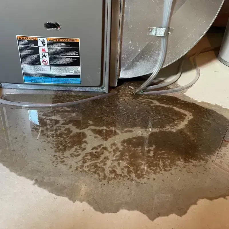 Appliance Leak Cleanup in Shrewsbury, MO